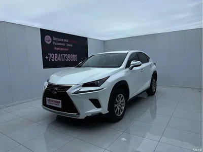 2020 Lexus NX 200 FWD Sharp Edition China VI, фото 1, лот 10629916