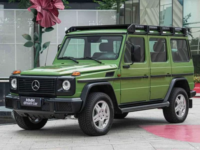 2017 Mercedes-Benz G-Class Model G 350 d, фото 1, лот 10259415