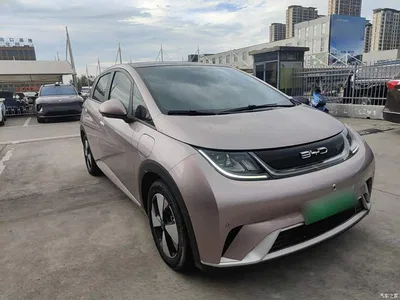 2023 BYD Dolphin 420km Fashion Edition, фото 4, лот 10259956