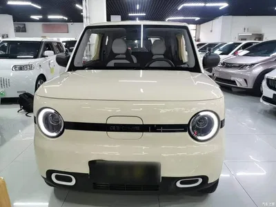 2025 Geely Galaxy Panda mini 210km Vitality Bear, фото 3, лот 11073230