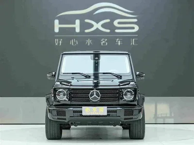2020 Mercedes-Benz G-Class G 500 Time Inscription Special Edition, фото 2, лот 10280580