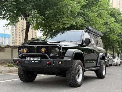 2021 Tank 300 Off-road Version 2.0T Conqueror, фото 1, лот 10343973