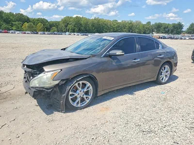 2013 NISSAN MAXIMA 3.5 SV, фото 1, лот 10758561