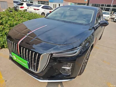 2024 Hongqi H5 2.0T Automatic Smart Connect Flag Smooth Edition, фото 1, лот 10899266