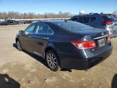 2011 LEXUS ES 350, фото 2, лот 10849143