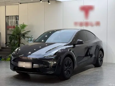 2024 Tesla Model Y Rear-Wheel Drive Version, фото 2, лот 10475982
