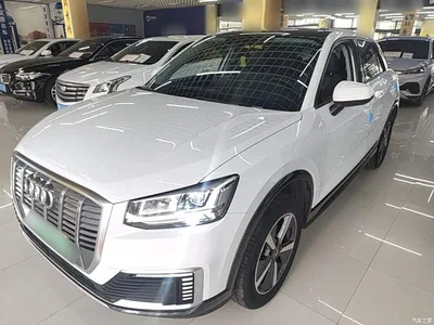 2019 Audi Q2L e-tron Pure Electric Smart Cool Edition, фото 1, лот 10473248