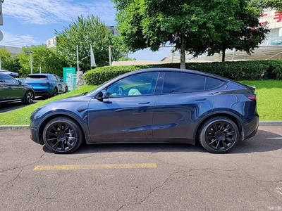 2024 Tesla Model Y Rear-Wheel Drive Version, фото 3, лот 11530700