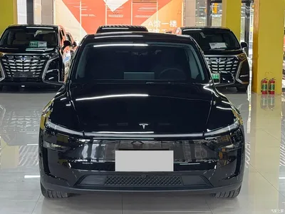 2025 Tesla Model Y Rear-Wheel Drive, фото 2, лот 10403963