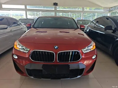 2019 BMW X2 (Import) sDrive25i Leading M Off-Road Package China VI, фото 3, лот 11016764