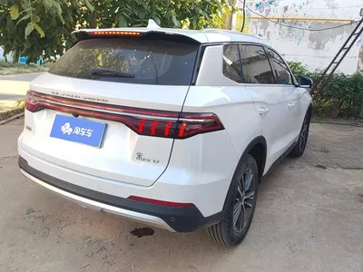 2019 BYD Song Pro 1.5T Automatic Luxury, фото 3, лот 10251731