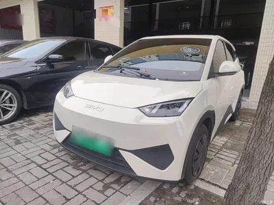 2025 BYD Seagull Smart Drive Edition 305km Vitality Version, фото 2, лот 10262869