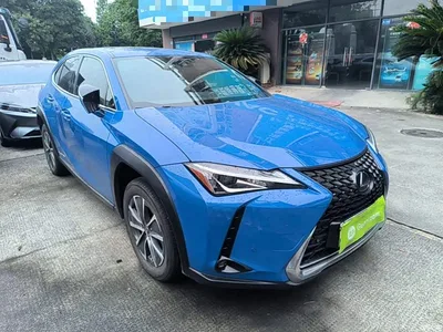 2020 Lexus UX Electric 300e Pure Yue Edition, фото 4, лот 11003139