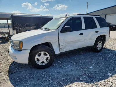 2006 CHEVROLET TRAILBLAZER LS, фото 1, лот 10656821