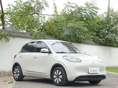 2024 Wuling Motors Wuling Bingo 333km Comfort Edition, фото 3, лот 10690216