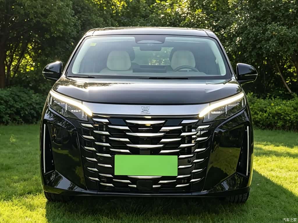 2025 BYD Xia DM-i 1.5T 180km Excellence, фото 2, лот 10255561