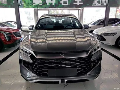 2023 BYD Song Pro New Energy Champion Edition DM-i 110KM Excellence, фото 3, лот 10272730