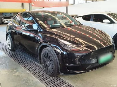2021 Tesla Model Y Standard Range Rear-Wheel Drive, фото 4, лот 11518660