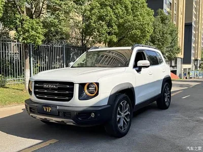 2022 Haval Big Dog 1.5T DCT FWD Border Collie Edition, фото 1, лот 10955052