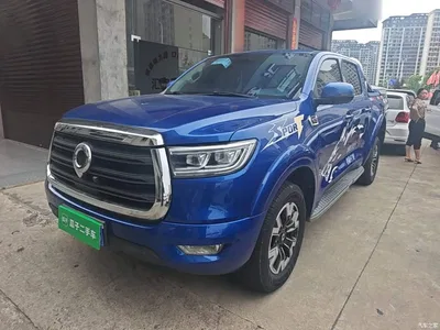 2019 Great Wall Pao 2.0T Automatic Gasoline 4WD Comfort GW4C20B, фото 2, лот 10248894
