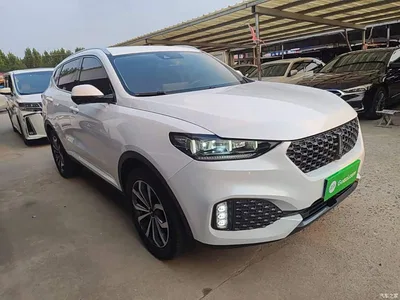 2020 WEY VV6 2.0T 2WD Smart Protection+, фото 4, лот 10689826