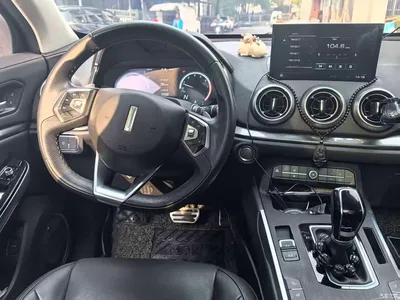 2017 WEY VV5 2.0T Flagship Model, фото 4, лот 10899339