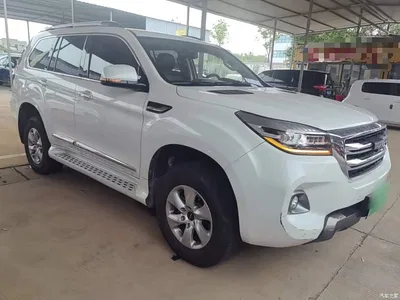 2020 Haval H9 2.0T Gasoline 4WD Elite 5-Seater, фото 4, лот 11182610