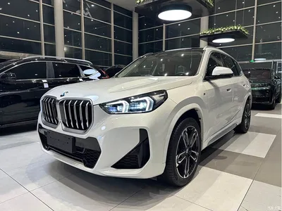 2024 BMW X1 sDrive25Li M Sport Package, фото 1, лот 10465990