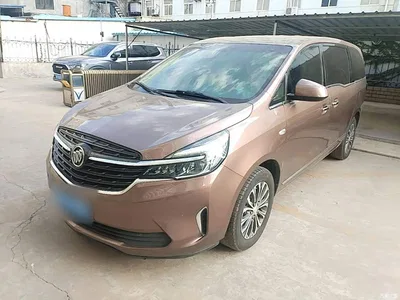 2021 Buick GL8 Land Business Class 652T Luxury, фото 1, лот 10955533
