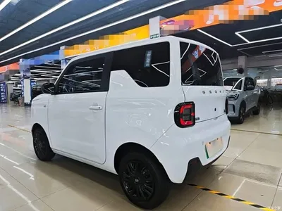 2023 Geely Galaxy Panda Mini 200km Endurance Bear, фото 4, лот 10889368