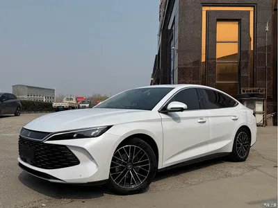 2024 BYD Qin L DM-i 120KM Excellence Model, фото 1, лот 10257737