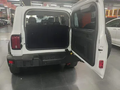 2021 Tank 300 Off-road Version 2.0T Conqueror, фото 4, лот 10344817