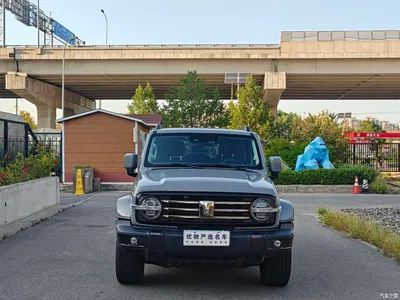 2021 Tank 300 Urban Edition 2.0T Essential, фото 2, лот 10523038