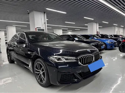 2022 BMW 5 Series Model Second Facelift 525Li M Sport Package, фото 3, лот 11074986