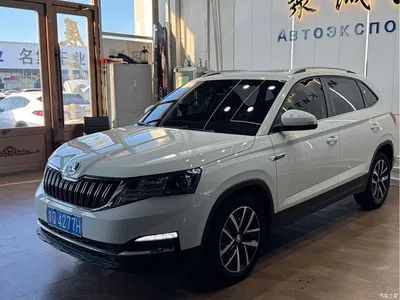 2023 Škoda Kamiq Facelift 1.5L Auto Comfort Edition, фото 1, лот 10348309