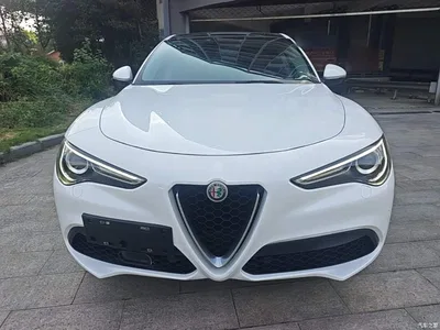 2017 Alfa Romeo Stelvio 2.0T 200HP Elite, фото 3, лот 11003342