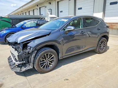 2024 LEXUS NX 250 PREMIUM, фото 1, лот 10664625