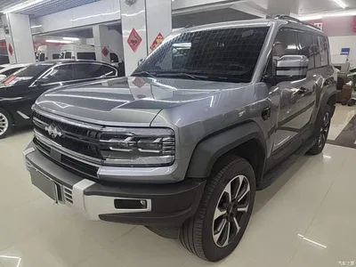 2023 Byd Leopard 5 Pilot Edition, фото 2, лот 11242715