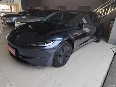 2023 Tesla Model 3 Rear-Wheel Drive, фото 1, лот 10367659