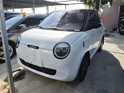 2022 Changan Qiyuan Changan Lumin 210km Sweet Edition, фото 2, лот 10688991