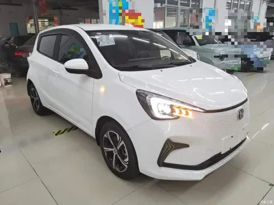 2020 Changan Benben E-Star Heartbeat Edition (NMC Battery), фото 4, лот 11178218