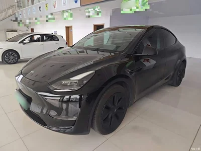 2021 Tesla Model Y Standard Range Rear-Wheel Drive, фото 2, лот 10390716