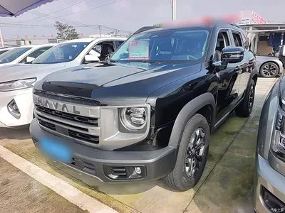 2024 Haval Big Dog 2.0T DCT Chinese Rural Dog Edition, фото 2, лот 11081700