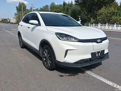 2018 Weltmeister EX5 400 Lite Explorer Edition, фото 3, лот 11565276