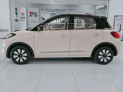 2025 Wuling Motors Wuling Bingo Model 333km Joy Edition, фото 4, лот 10353903