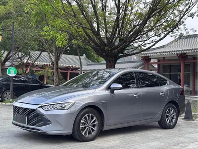 2024 BYD Qin PLUS Glory Edition DM-i 55KM Leading, фото 1, лот 10364391