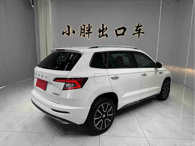2022 Škoda Karoq TSI280 Premium Edition, фото 4, лот 10349169