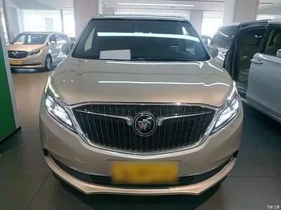 2017 Buick GL8 ES 28T Flagship China V, фото 3, лот 10262153