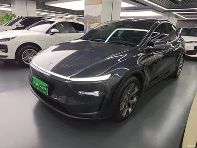 2025 Tesla Model Y L, фото 1, лот 10671205