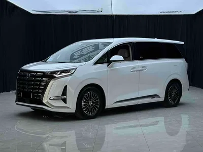 2022 Denza D9 DM-i 970 All-Wheel Drive Honor Edition, фото 1, лот 10334871
